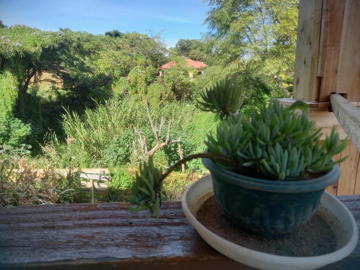 Emmy'S Backpackers Hostel Iringa Bagian luar foto